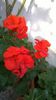 WP_20141014_15_56_41_Pro