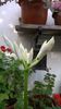 WP_20141014_15_56_57_Pro