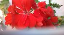 WP_20141014_15_58_12_Pro