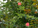 DSCN0840