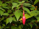 DSCN0844