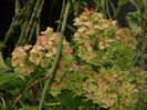 DSCN0845
