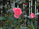 DSCN0883