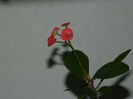 DSCN0893