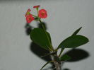 DSCN0896
