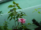 DSCN0900