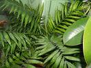 DSCN0902