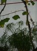 DSCN0907