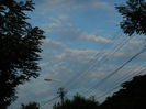 DSCN0921