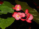 DSCN0928