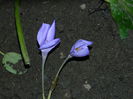 DSCN0932