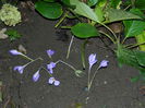 DSCN0933