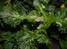 DSCN0940