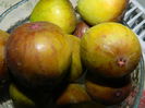 DSCN0944