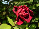 DSCN0957