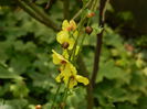 DSCN0959