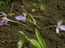 DSCN0967