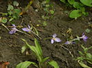 DSCN0968