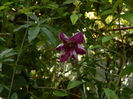 DSCN0970