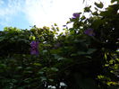 DSCN0971