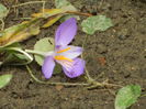 DSCN0975