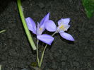 DSCN0976