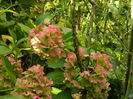 DSCN0982