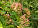 DSCN0988
