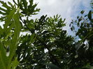 DSCN0991