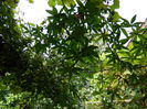 DSCN0994