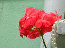 DSCN0997