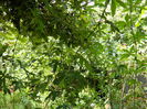 DSCN0998