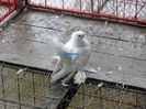 DSC02508