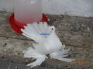 DSC02511