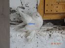 DSC02513