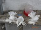 DSC02515