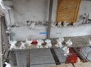 DSC02543