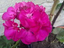 IMG_20141014_165409