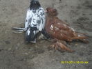 Picture 280