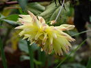 DSC00035