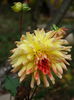 DSC00036