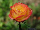 DSC00048