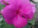 IMG_20141015_172655