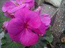 IMG_20141015_172649