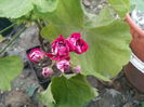 IMG_20141015_172532
