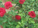 20141012_101353[1]