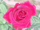 20141012_101413[1]