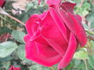 20141012_101430[1]