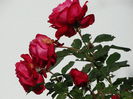 DSC00063
