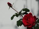 DSC00064